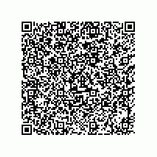 vCard 73919528341