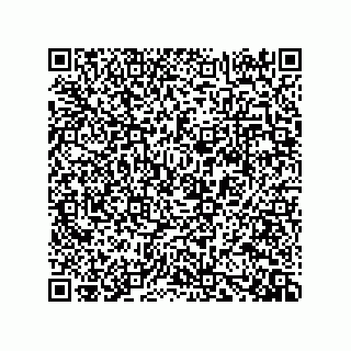 vCard 73919528381