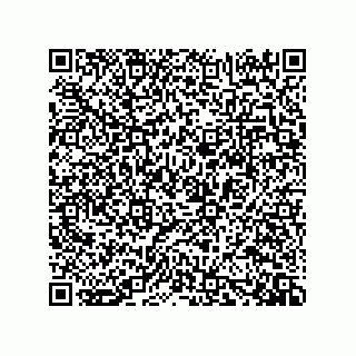 vCard 73919528385