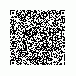vCard 73919566133