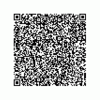 vCard 73919566287