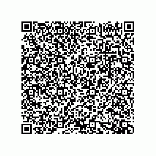vCard 73919572002