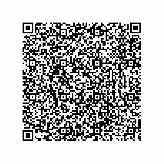vCard 73919676300