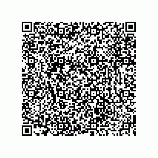vCard 73919676311