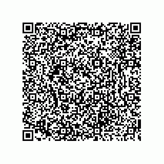 vCard 73919676363