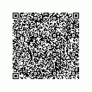 vCard 73919676379