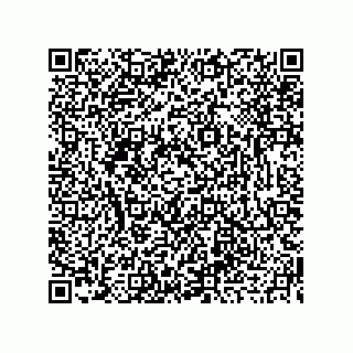 vCard 73919676383