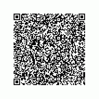 vCard 73919676391