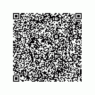 vCard 73919676510