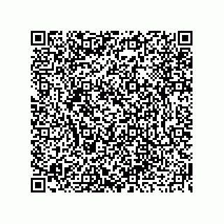 vCard 73919676529