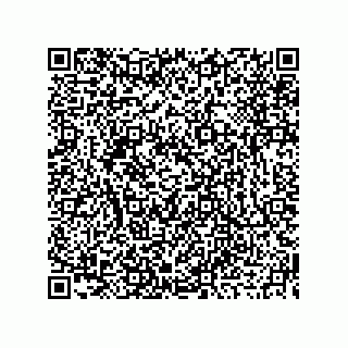 vCard 73919677251