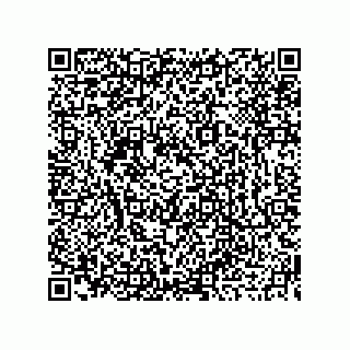 vCard 73919677262