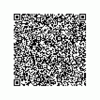 vCard 73919677289