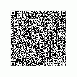 vCard 73919679202