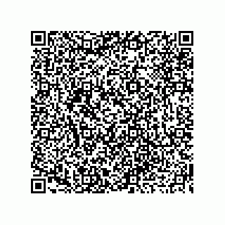 vCard 73919679205