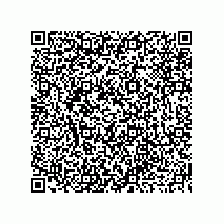 vCard 73919679207