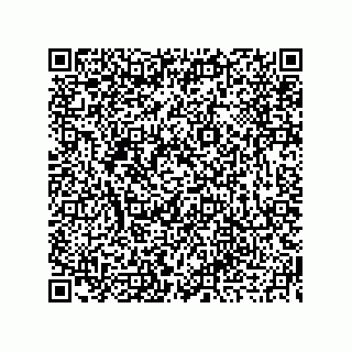 vCard 73919679217