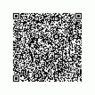 vCard 73919679231