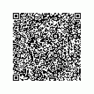 vCard 73919679233