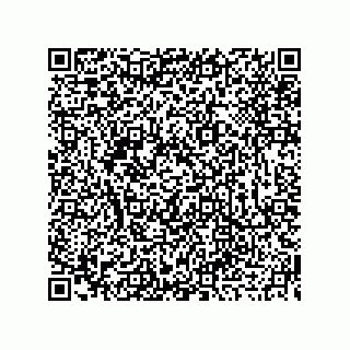 vCard 73919679234