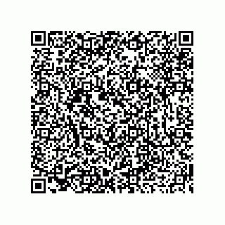 vCard 73919679239