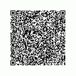 vCard 73919679245