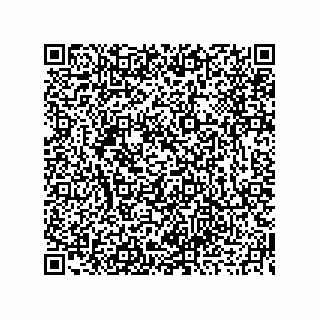 vCard 73919679250