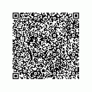 vCard 73919679256