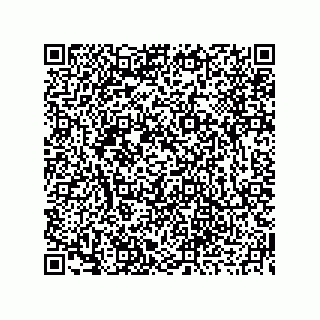 vCard 73919679259