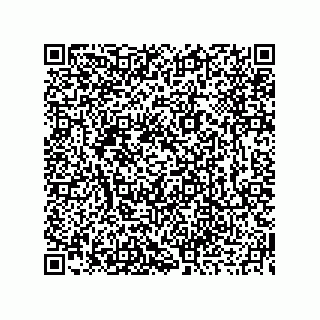 vCard 73919679266