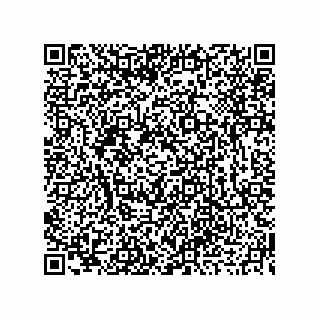 vCard 73919679271