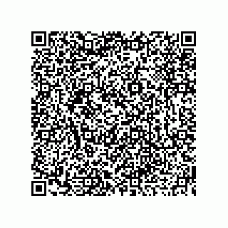vCard 73919679272