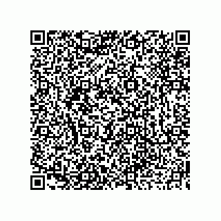 vCard 73919679277