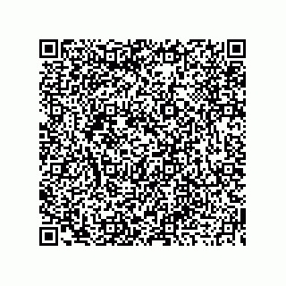 vCard 73919679285