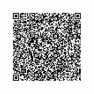 vCard 73919679295