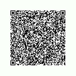vCard 73919679299