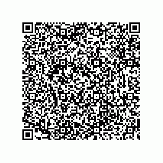 vCard 73919679305