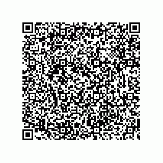 vCard 73919679309