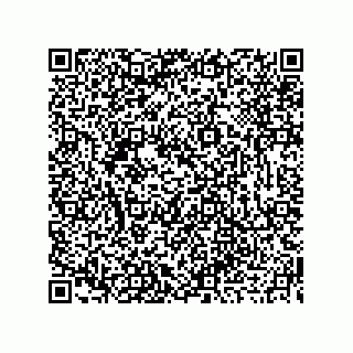 vCard 73919679312