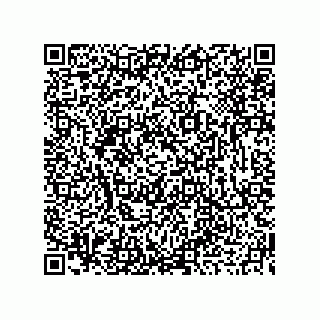 vCard 73919679313