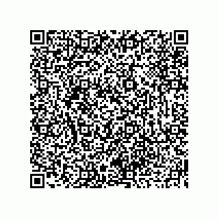 vCard 73919679316