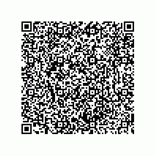 vCard 73919679320