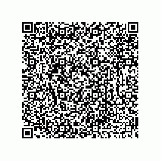 vCard 73919679328