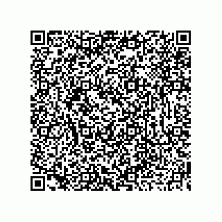 vCard 73919679331
