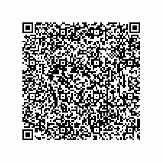vCard 73919679333