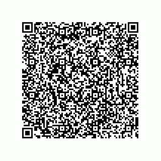 vCard 73919679334