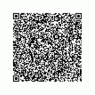 vCard 73919679341