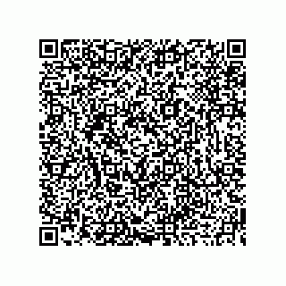 vCard 73919679357