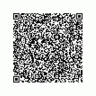 vCard 73919679371