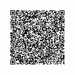 vCard 73919679378